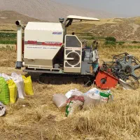 کمباین برنج درحد 2017