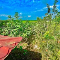 1200mبهشت زیبا قیمت استثنایی* نزدیک فریدونکنار|فروش خانه و ویلا|آستانه سرا, |دیوار