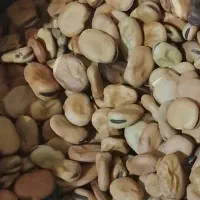 باقالی خشک زودپز
