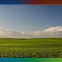 اجاره-دامداری-و-زمین-برای-چرای-گوسفند