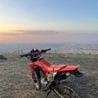باسل ۲۵۰
