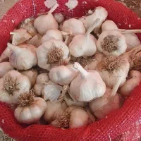 ظمنا قیمت قابل مذاکره