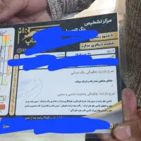 تیبا 1 مدل 95