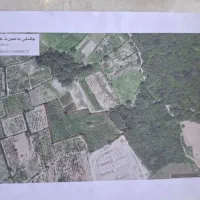 زمین-باغ-آلوچه-درروستای-گز-شرقی