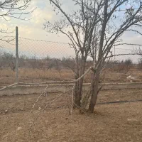 2170متر-زمین-کامرانیه-جنب-زعفرانیه