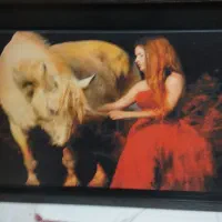 فروش تابلو نقاشی خارجی با کیفیت زیبا قابل شستشو|تابلو، نقاشی، عکس|کرج, شاهین‌ویلا|دیوار