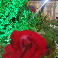 استخدام نیروی ساده خانم برای رستوران سنتی تفت