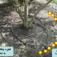 ابیاری قطره ای پدیده سبز|خدمات باغبانی و درختکاری|اصفهان, باغ نگاره|دیوار