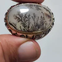 انگشتر طلا نقره شجره قائن استاد نوروزی