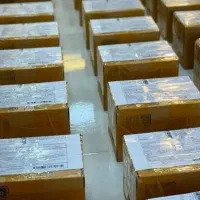 کار در منزل ویژه بانوان