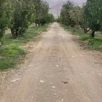۵۲۰متر باغ‌زمین سندتک برگ‌جابان‌دماونداقساط۳ماه|فروش زمین و ملک کلنگی|دماوند, دماوند|دیوار