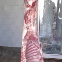 گوشت گوسفند بز|خوردنی و آشامیدنی|شیراز, شهرک مطهری|دیوار