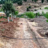 فروش باغ|فروش خانه و ویلا|بانه, |دیوار