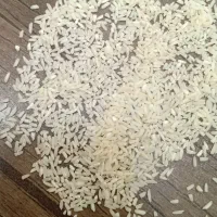 ۲۸۰ کیلوسر لاشه سورتینگ شده هاشمی قیمت ۱۹۸ هزار|خوردنی و آشامیدنی|شفت, |دیوار