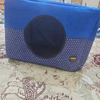 جای خواب گربه