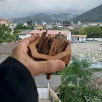 ادویه جات و خشکبار جانساقی