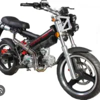 زیگما ساچ آلمان