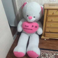 عروسک|اسباب‌بازی بچه|سلماس, |دیوار