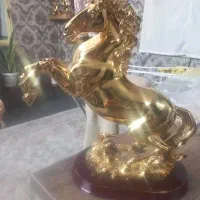 دکوری های طلایی|مجسمه، تندیس، ماکت|تهران, کیانشهر|دیوار