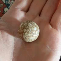 سنگ آسیاب|کلکسیون اشیاء عتیقه|معمولان, |دیوار