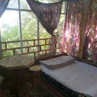 سوئیت تراس دار مشرف به جنگل