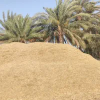 کاه گندم کیلو 6تومان