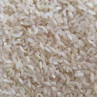 برنج و خرده برنج محلی ابرج