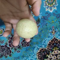 سنگ الماس اسیاب|بدلیجات|دورود, |دیوار