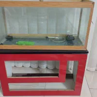 آکواریوم|ماهی|پاکدشت, پاکدشت (مامازند)|دیوار