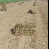 علف|لوازم جانبی حیوانات|حبیب آباد, |دیوار