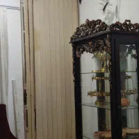 پرده عمودی سالم