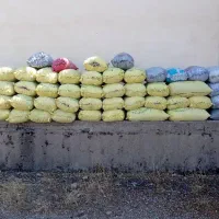 ریتق کبوتر چایی کود از کبوتر