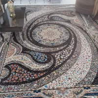 فرش ۱۲ متری|فرش|تربت‌حیدریه, داروپخش|دیوار