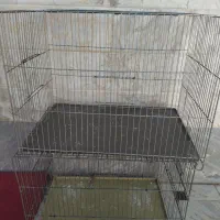 قفس|لوازم جانبی حیوانات|قم, نیروگاه|دیوار