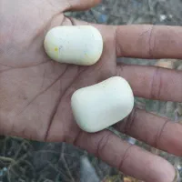 یک جفت سنگ اسیاب