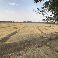 فروش ۱۰۰۰ متری در شیدان