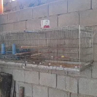 قفس ۸ خان جنس محکم و خوب|لوازم جانبی حیوانات|برازجان, |دیوار