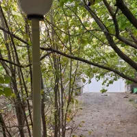 اجاره خانه ویلایی دهبکری توکل آباد|اجارهٔ خانه و ویلا|دهبکری, |دیوار