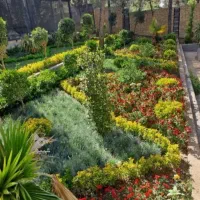 خدمات باغبانی باغچه کاری گل کاری تعویض خاک گلدون