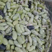 باقالی پاک شده