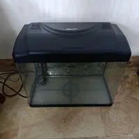 آکواریوم شرکتی دلسا