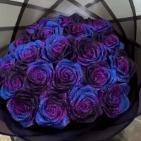 گل ربانی هر مدلی که مد نظرتونه