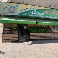 دو عدد  بازویی آلمینیومی
