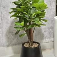 فروش گلدان های فایبر گلاس وگل های مصنوعی وارداتی