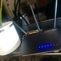 مودم 3 آنتن ASUS AC51|مودم و تجهیزات شبکه|قم, سالاریه|دیوار