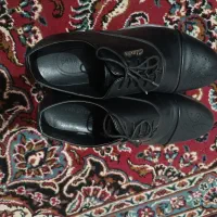 کفش نو|کیف، کفش، کمربند|کرمانشاه, |دیوار