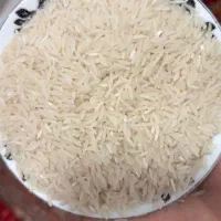 برنج فجر دامنه کوه