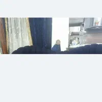 پرده درحدنو