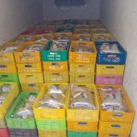 کارگر ساده کارگاه خیارشور