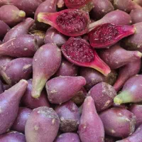 میوه کاکتوس مخصوص دیابت